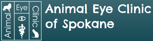 Animal Eye Clinic of Spokane Home